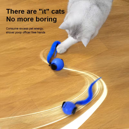 Interactive Pet Ball – Automatic Rolling